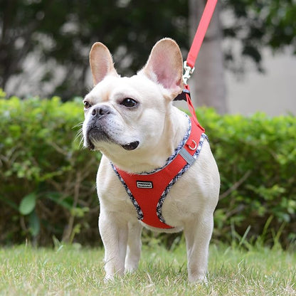 Mercano Soft Mesh Dog Harness and Leash Set, No-Chock Step-in Reflective Breathable Lightweight Easy Walk Vest Harnesses with Safety Buckle for Small Dogs, Cats (Red, XS)