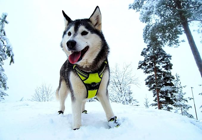 TRUE LOVE Adjustable No-Pull Dog Harness Reflective Pup Vest Harnesses Comfortable Control Brilliant Colors TLH5651(Neon Yellow,XL)