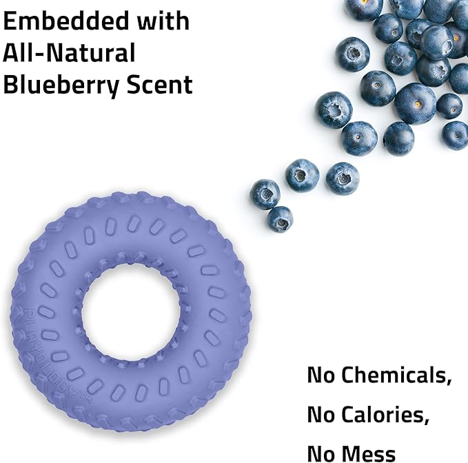 Playology Dog Toys | Dual Layer Ring Durable Chew Toy for Aggressive Chewers | Small Blueberry Scented Toy - Easy to Clean and Made from Non Toxic Materials