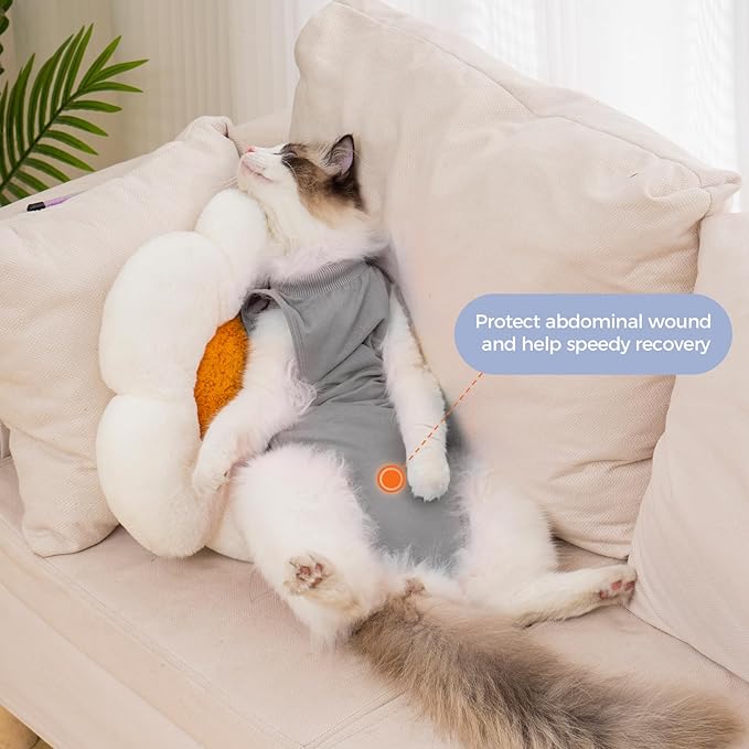 Avont Cat Recovery Suit Post-Surgery Onesie, Breathable Cone-of-Shame Alternative Bodysuit for Spayed Female Kittens, Skin Abdonminal Wound Care -Grey(M)