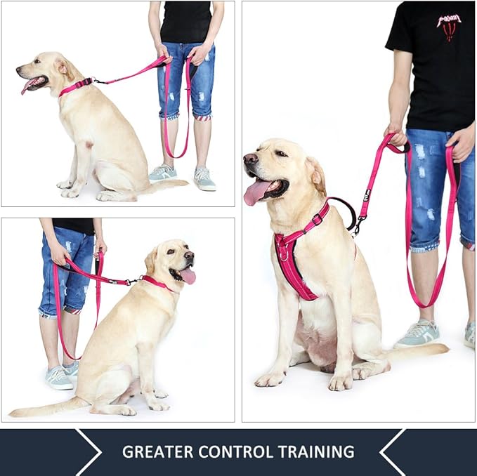 Plutus Pet Double Handle Dog Leash 5ft, Heavy Duty, Reflective Dual Handle Dog Leash for Safety Training, for Medium Large Dogs,2 Handle Leads(Pink)