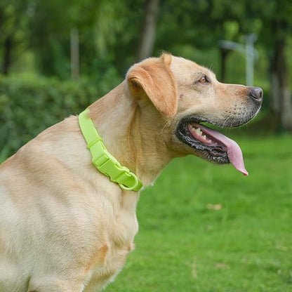 Waterproof Rubber Dog Collar, Odor-Resistant and Easy to Clean, Ideal for Daily Walks, Rainy Days, Swimming and Hiking, Fits Small Medium and Large Dogs