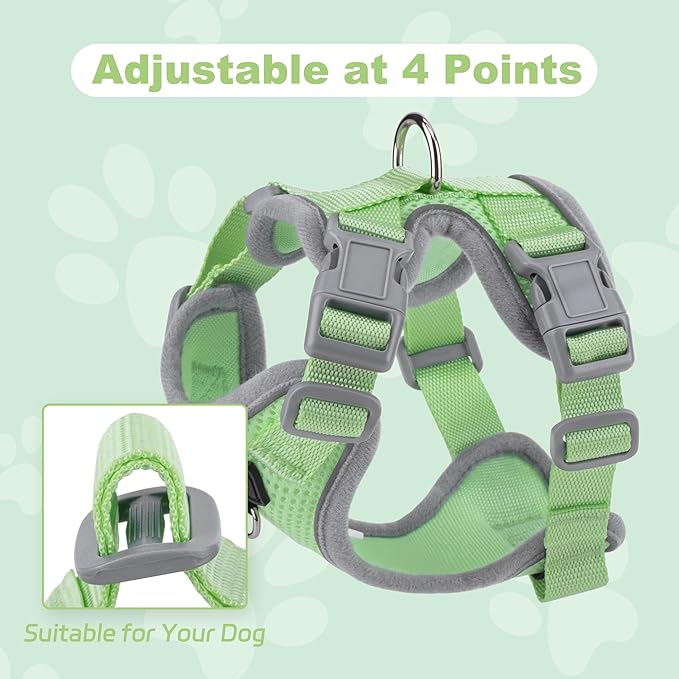 Small Dog Harness and Leash Set, No Pull Adjustable Pet Harness for Small Dogs, Breathable Mesh Rflective Dog Vest Harness (Green, XXS)