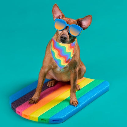 PTDECOR Rainbow Dog Bandanas Pride Day Dog Scarf Reversible Triangle LGBT+ Rainbow Bandanas for Medium Large Dogs Pets (Pride, Large)