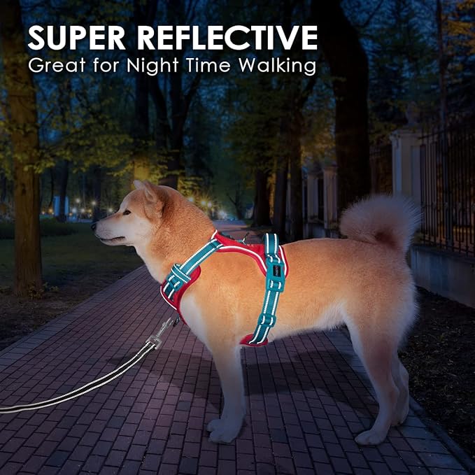PHOEPET No Pull Dog Harness, Unique Colors Reflective Adjustable Dog Vest, with Soft Training Handle Metal Clips for Small Medium Large Dogs (Red Base & Teal Straps,XS)