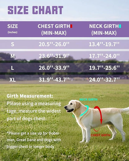 AUROTH Dog Harness and Leash Set, Soft Padded No Pull Dog Harness with 5.25FT Dog Leash, No Choke, Easy On Pet Vest, Adjustable Reflective Dog Vest Small Sized Dog, Easy Walking and Training