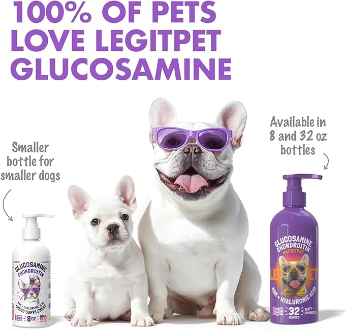 Liquid Glucosamine for Dogs Bacon Flavour with Chondroitin, MSM & Hyaluronic Acid K9 Supplement Hip and Joint Formula Advanced Mobility Joint Pain Relief Senior Advanced Supplement for All Breeds
