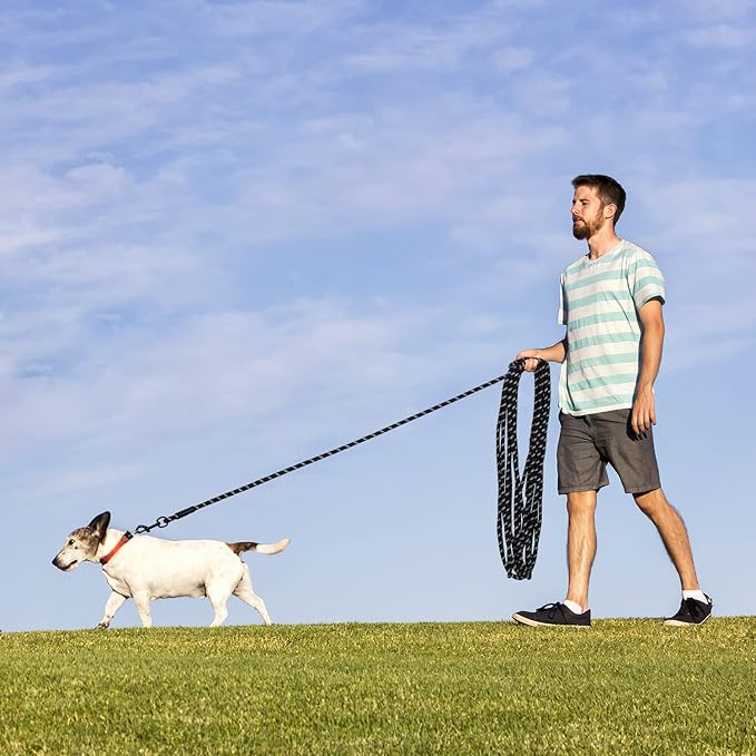 Long Dog Leash for Training 15Ft-Reflective Nylon Rope with Swivel Hook-Recall Agility Lead for Large Small Medium Dogs Outside Walking Hiking-Black Diam 1/2"