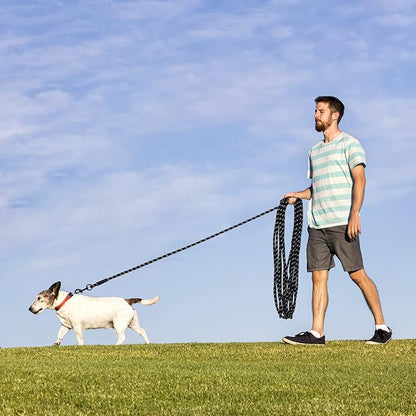 Long Dog Leash for Training 50Ft-Reflective Nylon Rope with Swivel Hook-Recall Agility Lead for Large Small Medium Dogs Outside Walking Hiking-Black