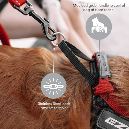 EzyDog Express Dog Harness - Adjustable Dog Harness for Large, Medium, and Small Dogs with Padded Ergonomic Anti-Chafing Design, Grip Handle, & Easy Side Buckle (Gray, XS)