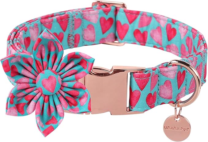 UP URARA PUP Valentine Dog Collar with Flower, Heart Flower Collar for Puppy Girl Boy Dog or Cat, Comfortable Dog Collar Flower with Durable Metal Buckle, Cute Pet Collar, XS, Neck 8-12in