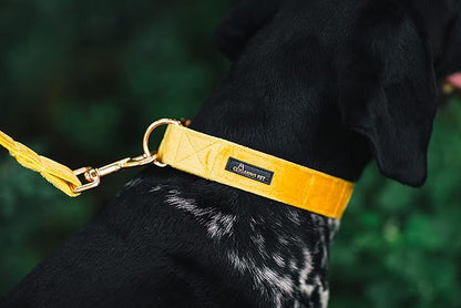 ARING PET Velvet Dog Collar and Leash Set, Bright Yellow Dog Collar and Leash, Adjustable Soft Collars for Dogs