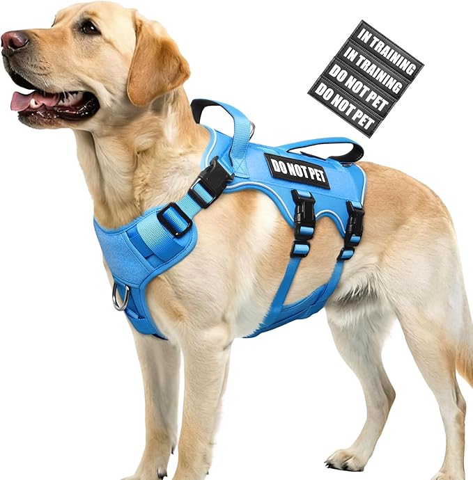 WINSEE Escape Proof Dog Harness, Service Working Molle Harness with Double Handle, Tactical Pet Vest with 4 Patches for Small Medium Large Dogs Walking Hiking Hunting