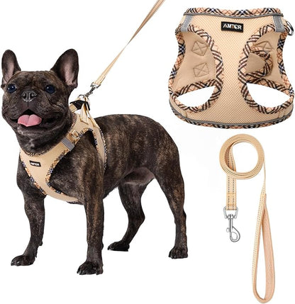AMTOR Small Dog Harness with Leash Set, No Escape Easy Walk Puppy Harnesses for Training Walking, Step-in Reflective Soft Dogs Vest for XS S Medium Extra-Small Large Sized Dog(Beige,XXS)