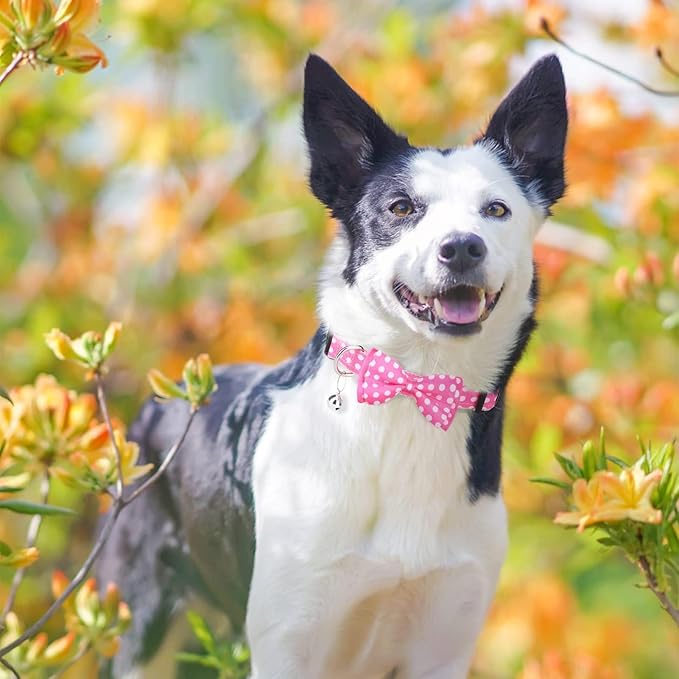 BINGPET Dog Harness Collar Leash Set,Adjustable No Pull Escape Proof Small Dog Harness,Classic Plaid Puppy Harness and Leash Set for Small Medium Large Dogs Training Easy Walk Running(Polka Dots,M)