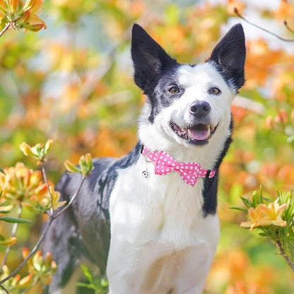 BINGPET Dog Harness Collar Leash Set,Adjustable No Pull Escape Proof Small Dog Harness,Classic Plaid Puppy Harness and Leash Set for Small Medium Large Dogs Training Easy Walk Running(Polka Dots,M)