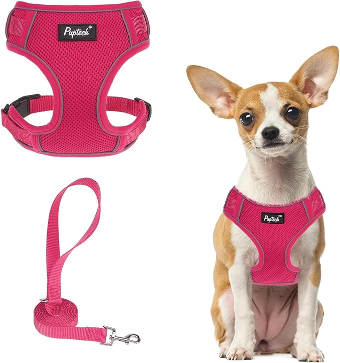 PUPTECK Small Dog Harness and Leash Set, No Pull Adjustable Puppy Cat Harness, Reflective Soft Mesh Pet Vest Small Sized, Fuchsia, XS