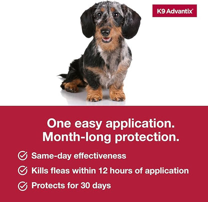 K9 Advantix Flea, Tick & Mosquito Prevention for Dogs 4-10 lbs. | Flea Drops for Small Dogs | Apply Monthly | 6 Treatments (Pack of 3)