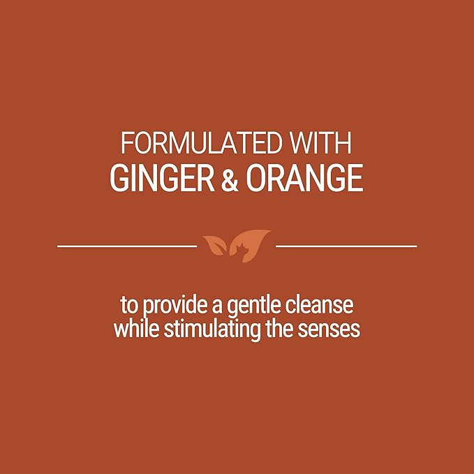 Green Groom Ginger Orange Aromatherapy Dog Shampoo, 1 Gallon | All Natural Ingredients, Ginger Orange Essential Oils, Adds Vibrant Shine, Calming and Relieves Tension