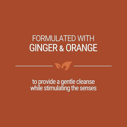 Green Groom Ginger Orange Aromatherapy Dog Shampoo, 1 Gallon | All Natural Ingredients, Ginger Orange Essential Oils, Adds Vibrant Shine, Calming and Relieves Tension