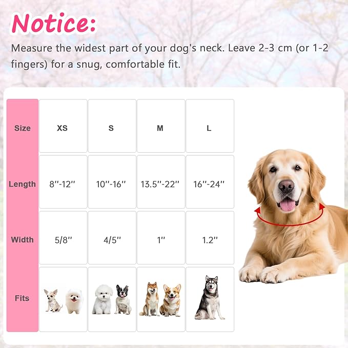 Valentines Dog Collar with Heart Bow Pattern, Adjustable Small Dog Collar with Safety Buckle & Heart Charm, Spring Summer for Girl Boy Dogs-S