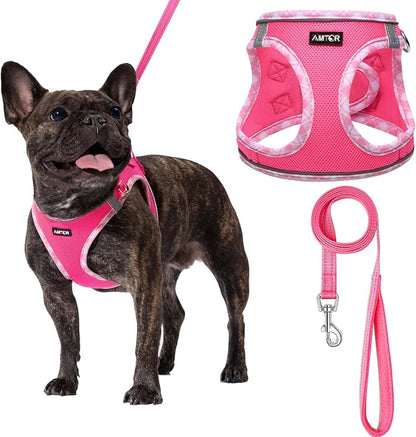 AMTOR Small Dog Harness with Leash Set, No Escape Easy Walk Puppy Harnesses for Training Walking, Step-in Reflective Soft Dogs Vest for XS S Medium Extra-Small Large Sized Dog(Fuchsia,L)