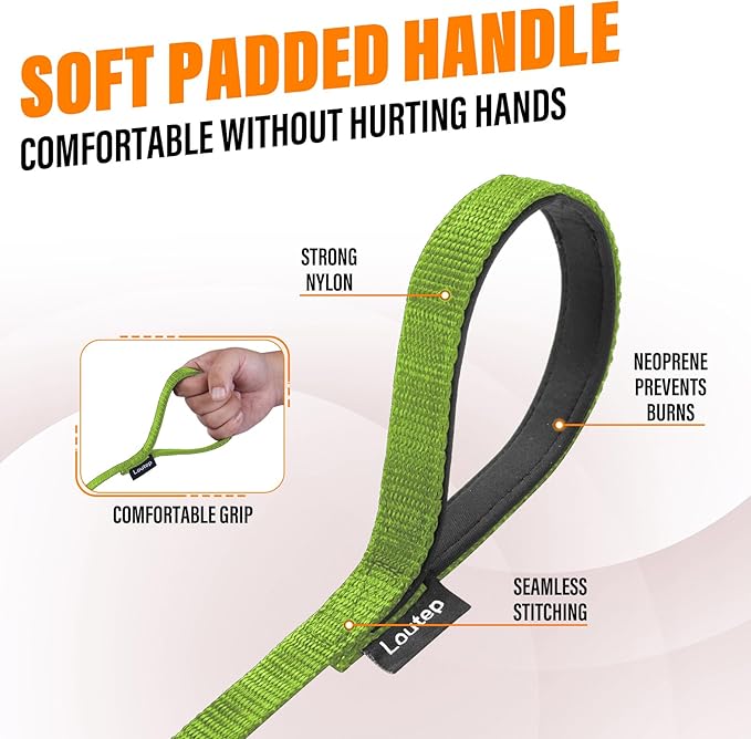 Dog Training Leash - Long Line for Recall & Obedience, Nylon Training Lead with Padded Handle, 15 ft / 20 ft / 30 ft / 50 ft / 100 ft - Long Leash for Dogs Outside, Small/Medium/Large