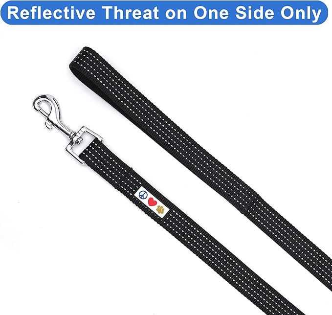 Pawtitas Black Dog Leash 6 ft M/L Reflective Durable Lightweight Dog Lead for Medium or Large Dogs and Puppies