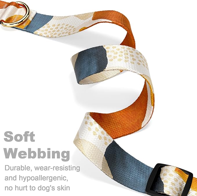 Rnivvi Dog Collar for Small Dogs, Cute Heavy Duty Adjustable Puppy Collar with Quick Release Buckle for Boy Girl & Female, Pet Accessories for Walking Running, S Length 3/4" Width, Abstract Art