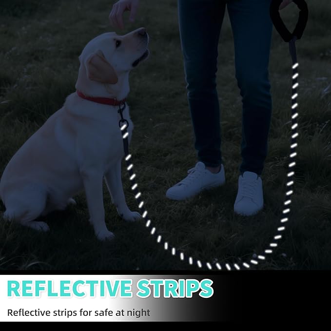 Mile High Life Reflective Dog Leash, with Comfortable Padded Handle, Black Nylon Rope Leash with Steel Tips, Heavy Duty 4 Feet Pet Leashes (Black,48 Inches)