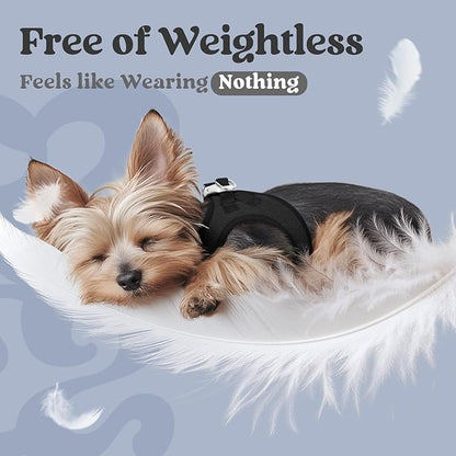 rabbitgoo Small Dog Harness, Step-in Soft Mesh Puppy Vest with Safety Buckle, Breathable Reflective Pet Harness for Small Sized Dogs, Black XS
