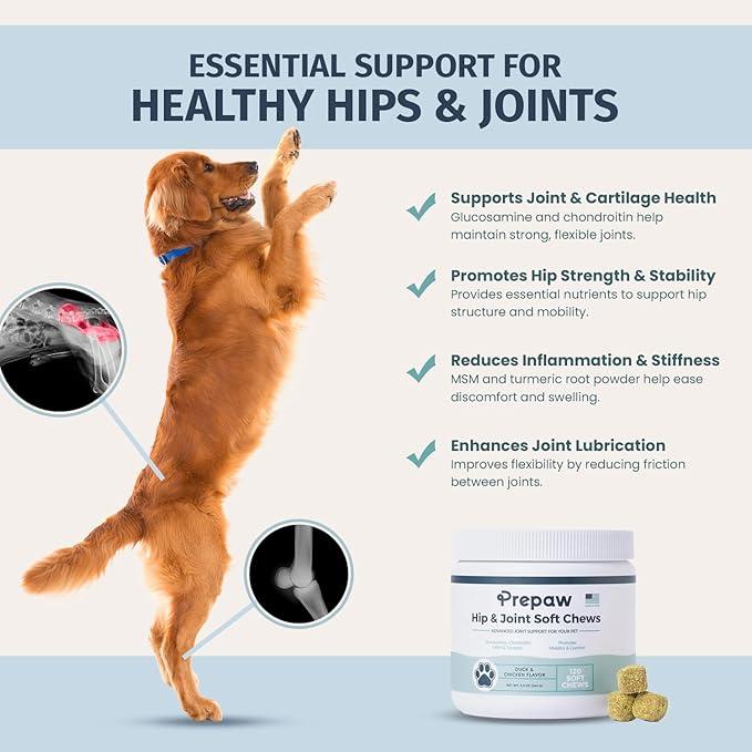 Hip & Joint Support for Dogs | Maximum Strength with Glucosamine, Chondroitin, MSM. Turmeric Root Powder - Relieves Arthritis Pain, Supports Cartilage & Hip Dysplasia - Made in USA - 120 Chews