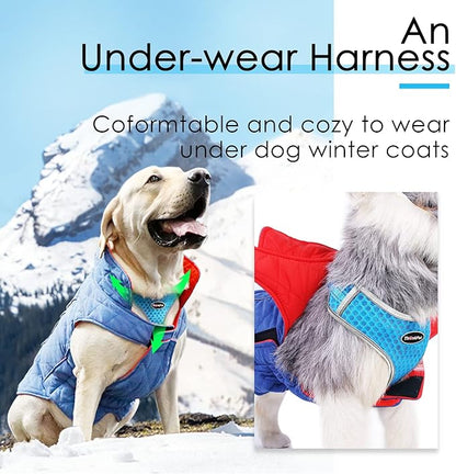 ThinkPet Reflective Breathable Soft Air Mesh No Pull Puppy Choke Free Over Head Vest Harness for Puppy Small Medium Dogs and Cats Light Blue Large