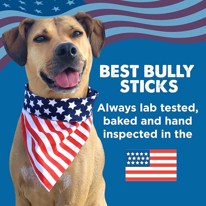 Best Bully Sticks 12 Inch Bully Sticks for Dogs - 10 Count (Pack of 1) - Natural, Easily Digestible, 100% Grass-Fed Beef, Grain and Rawhide Free