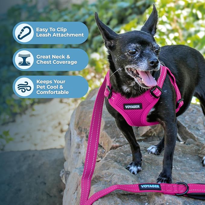 Best Pet Supplies Voyager Adjustable Step-in Flex Breathable Mesh Dog Harness for Small Medium Large Dogs (Fuchsia), M