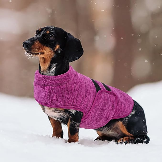 Queenmore XXS Dog Sweaters, Soft Fleece Vest Pullover Dog Jacket with Leash Hole, Warm Winter Dogs Clothes Cold Weather Doggy Dachshund Sweater for Small Dogs Cats Boy or Girl (Cationic Berry, XXS)
