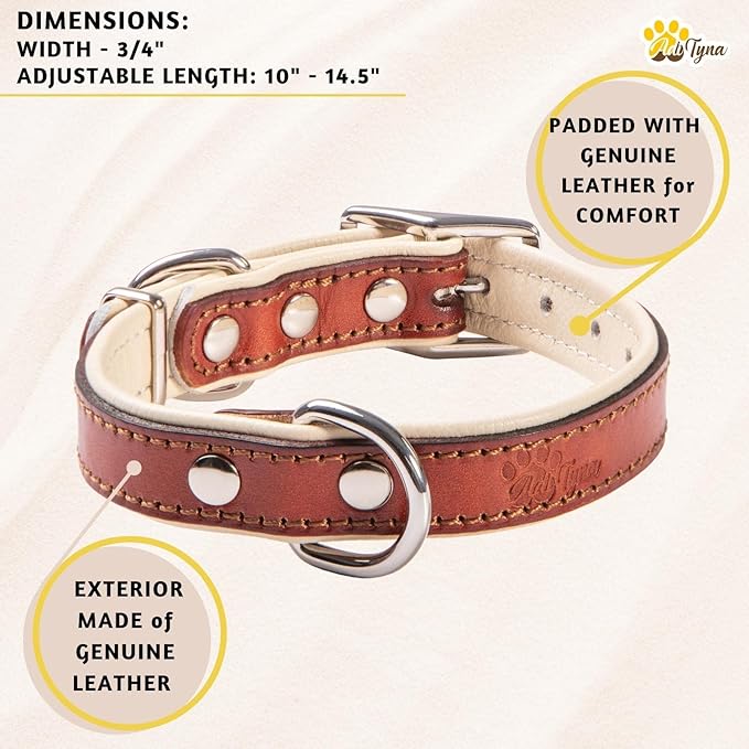 ADITYNA Heavy-Duty Leather Dog Collar for Small Dogs - Soft Padded for Comfort - Small Dog Collar for Walking, Training, and Hiking