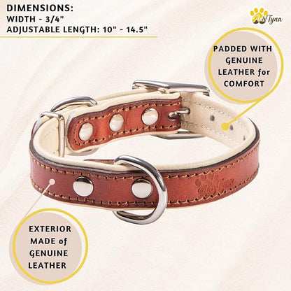 ADITYNA Heavy-Duty Leather Dog Collar for Small Dogs - Soft Padded for Comfort - Small Dog Collar for Walking, Training, and Hiking