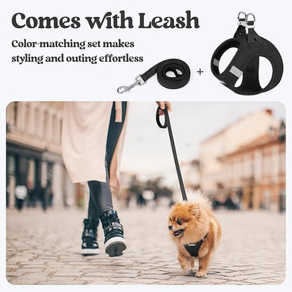 rabbitgoo Dog Harness Small Sized and Leash Set, Step in Soft Light Puppy Vest, Breathable Mesh Pet Harness, Reflective for Safe Easy Walking, Black XXS