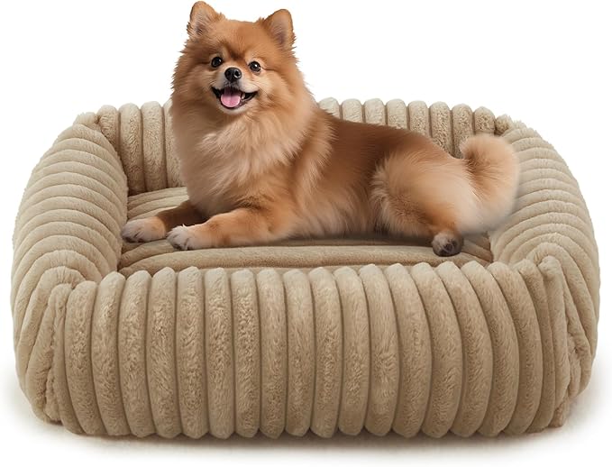 FURTIME Dog Bed for Small Medium Dog, Washable Orthopedic Pet Bed with Removable Cover, Rectangle Soft Calming Sleeping Puppy Bed Durable Pet Cuddler with Anti-Slip Bottom, Beige, M (25"x21"x7")