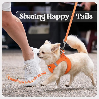 rabbitgoo Dog Harness Small Medium Sized and Leash Set, Step in Soft Light Puppy Vest, Breathable Mesh Pet Harness, Reflective for Safe Easy Walking, Orange L