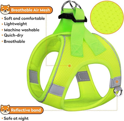 Dog Harness with Leash Set, No-Pull Step-in Reflective Pet Harness with 1 Leash Clips, Adjustable Soft Padded Easy Walk Dog Vest for Small Medium Large Dogs, Cats(Fluorescent, Small)