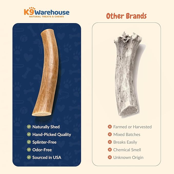 K9warehouse Natural Split Elk Antlers for Dogs - Premium Grade Dog Antler Chews - Long-Lasting Deer Antles Ideal for Aggressive Chewers - Safe USA Sourced Chew for Medium and Large Dogs - 1 Pack