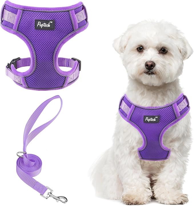 PUPTECK Small Dog Harness and Leash Set, No Pull Adjustable Puppy Cat Harness, Reflective Soft Mesh Pet Vest Small Sized, Purple, M