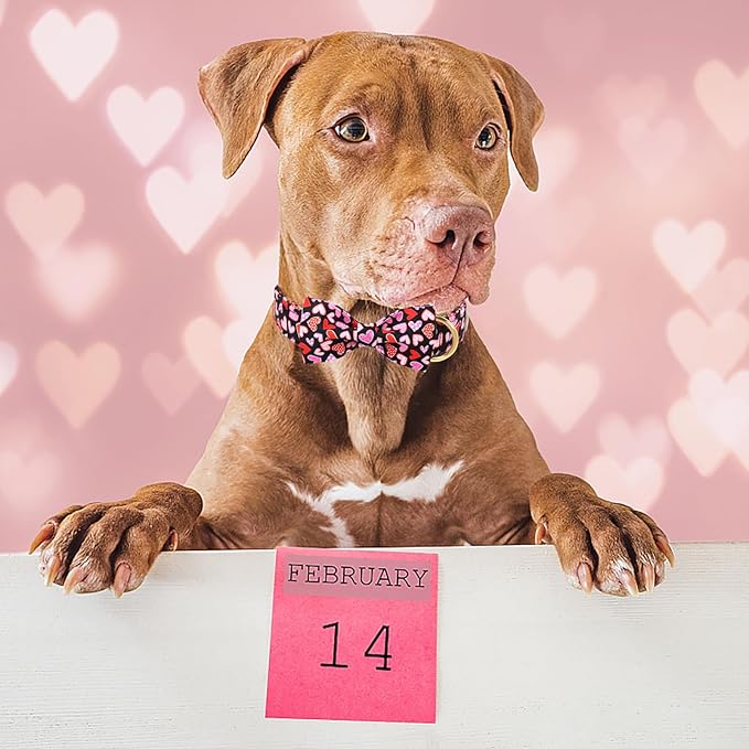 Valentines Dog Collar with Bow Tie,Colorful Love Heart Valentine Dog Collars with Safety Metal Buckle Adjustable Puppy Collars for Small Medium Large Boy & Girl Dogs XL