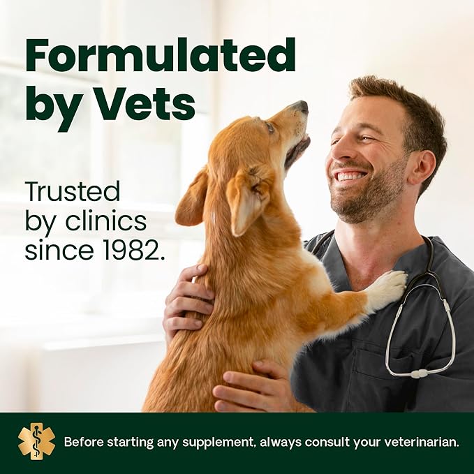 VetriScience HMB Healthy Muscle & Strength Supplement for Dogs, Mobility Support & Muscle Builder with Collagen, Calcium, Vitamin D & Curcumin, Powder, Pork, 8.47 oz - New Look