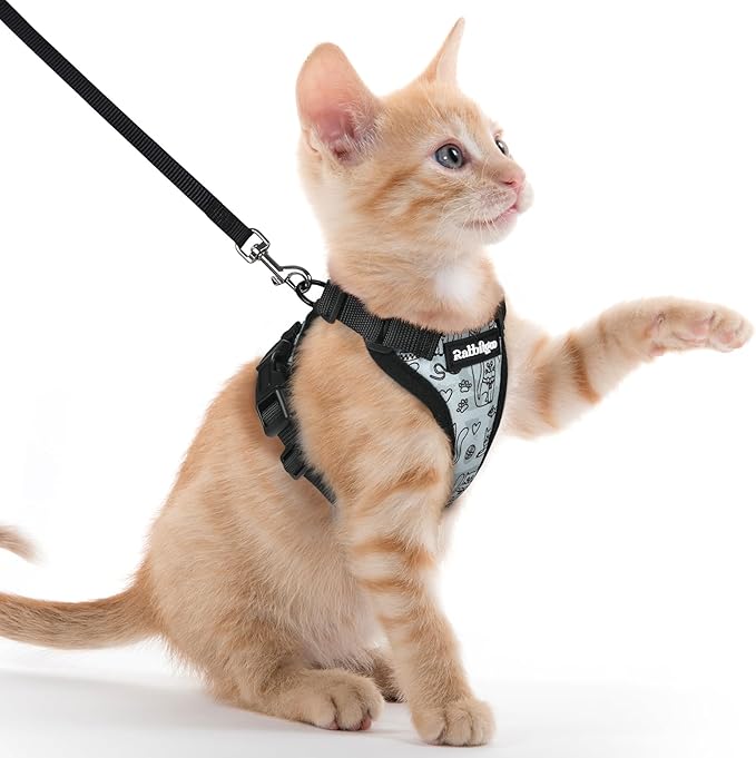 rabbitgoo Cat Harness and Leash for Walking, Escape Proof Soft Adjustable Vest Harnesses for Cats, Easy Control Breathable Reflective Strips Jacket, Doodle Gray,XXS