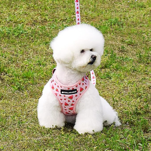 Dog Harness and Leash Set, Adjustable Dog Harness, Dog Leash, No Pull No Choke Puppy Harnesses for Walking Training for Small Medium Pet