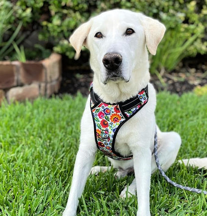 Lucky Love Dog No Pull Dog Harness, Adjustable and Easy to Walk, Cute Patterned Harness for Large Male & Female Dogs - Ladybird, Large