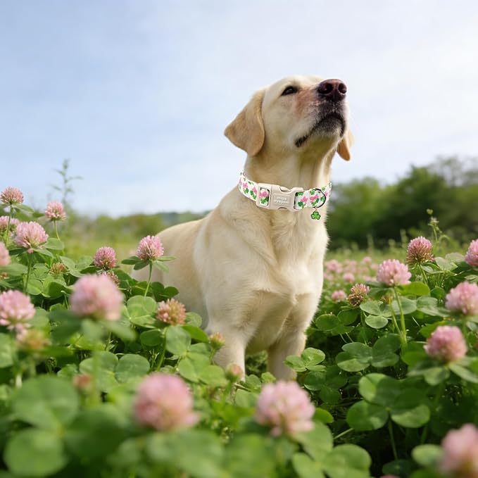 Unique style paws Dog Collar Plastic Buckle with Pendant Puppy Collar for Saint Patrick Bow Clover for Small Medium Large Boys Girls Dogs
